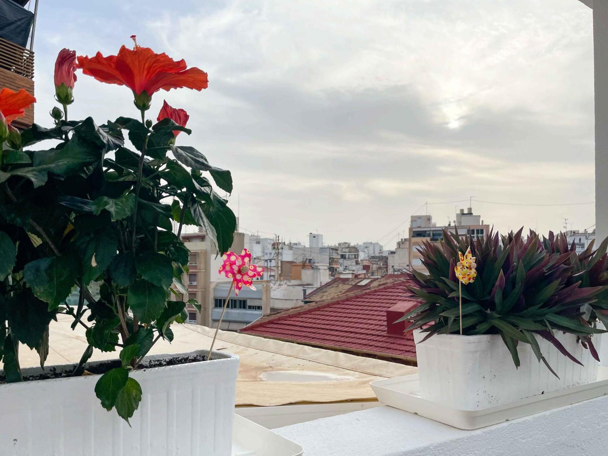 El Atico Del Mercado. Un Lugar Dificil De Olvidar. Alicante Exterior foto